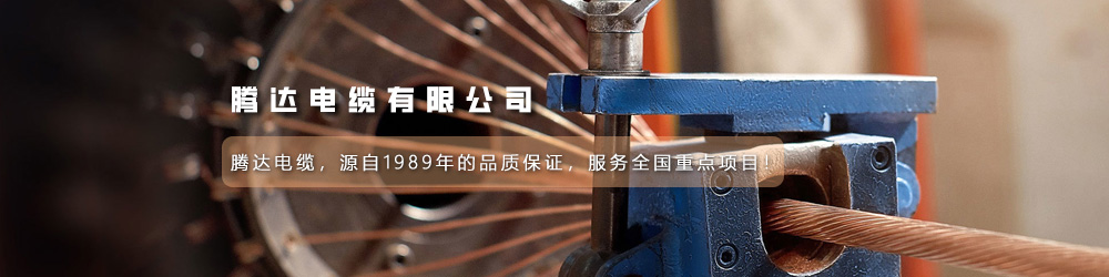 騰達電纜有限公司